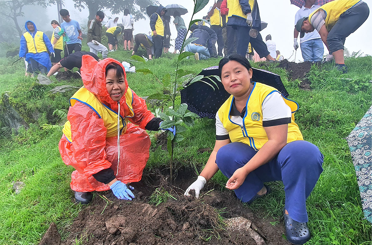 Planting Gratitude and Joy in the Rain - Volunteer Service Review