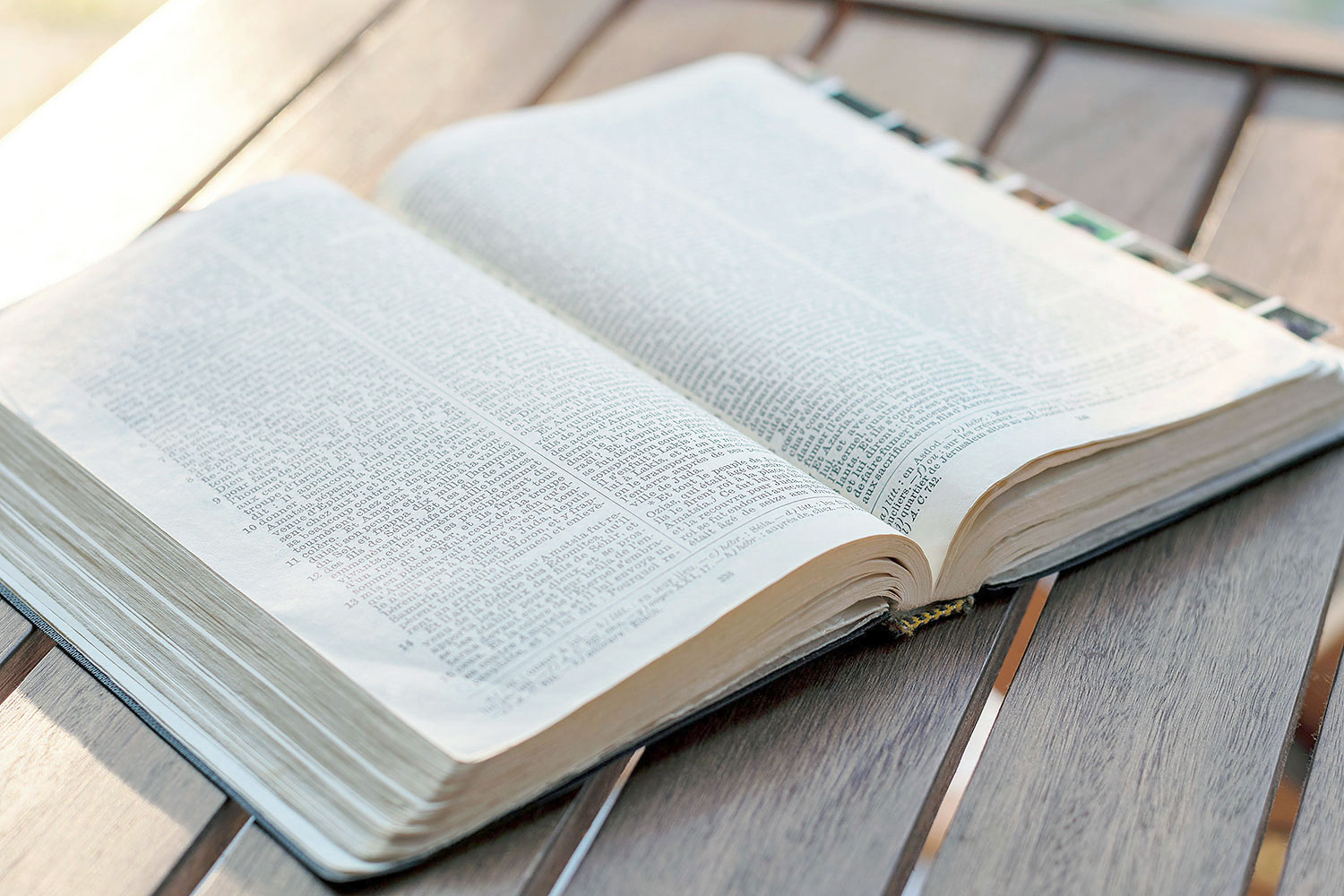 9 Razones Por Las Que Debería Estudiar La Biblia AHORA MISMO - Lifeword en  Español