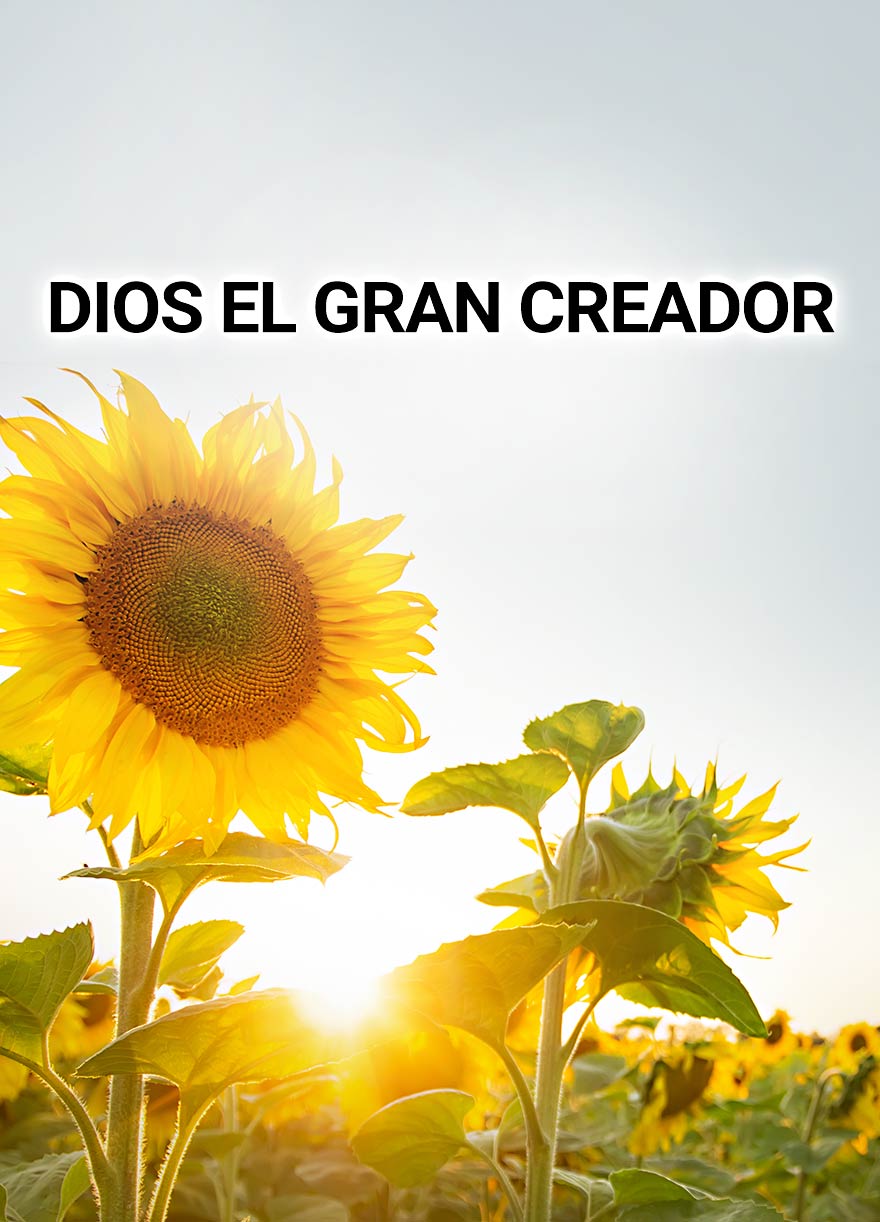 Dios El Gran Creador - Palabras De La Biblia