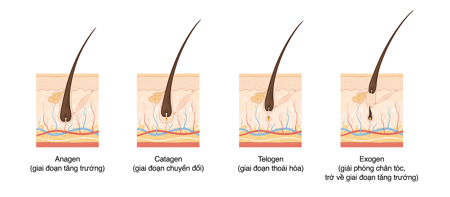 Phục hồi tóc nam hư tổn với 3 bí quyết cực đơn giản